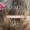 Capa Google (2)