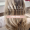 Capa Google (3)